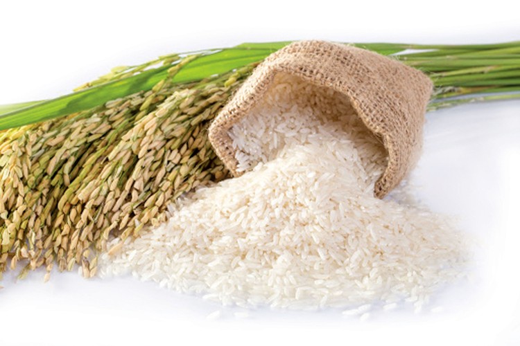Khát vọng từ hạt gạo Việt vang danh toàn cầu…