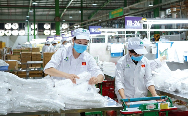 Trong số gần 2.000 doanh nghiệp đại chúng Việt Nam mới có khoảng 30 doanh nghiệp thực hiện nới room ngoại lên 100%