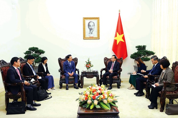 Phó Thủ tướng Trần Lưu Quang tiếp Tổng giám đốc Tổ hợp Samsung Việt Nam Choi Joo Ho. Ảnh: Hải Minh