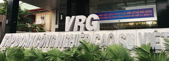 Phó Thủ tướng Vương Đình Huệ yêu cầu xây dựng Đề án tái cơ cấu toàn diện VRG sau cổ phần hóa, định hướng đến năm 2025. Ảnh: Internet
