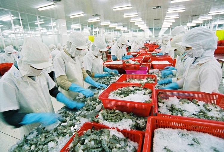 Cơ hội cho các ngành  nông - thủy sản của Việt Nam đang rất lớn. Ảnh: Internet