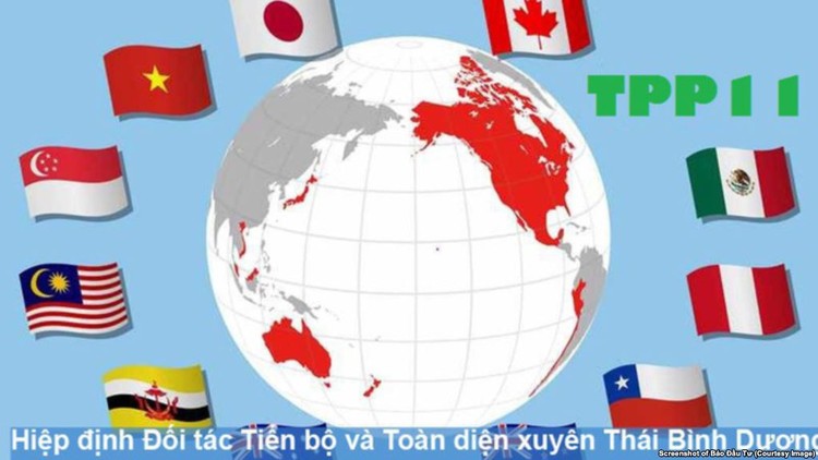 CPTPP có sự tham gia của 11 quốc gia, trong đó có Việt Nam. (Ảnh: Internet)