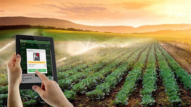 Ứng dụng IoT phục vụ tưới tiêu trong nông nghiệp (ảnh Internet)