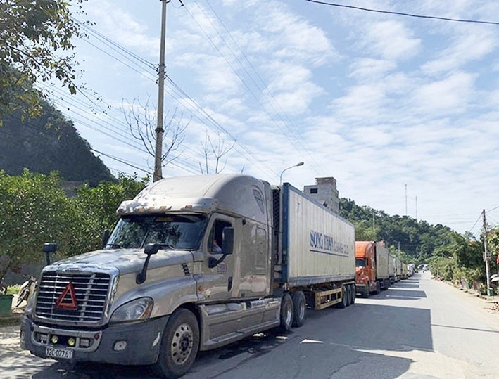 Nhiều xe chở nông sản xuất khẩu đang ùn ứ tại các cửa khẩu (ảnh: internet)