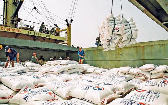 Thủ tướng đề nghị tạm dừng ký hợp đồng xuất khẩu gạo mới (ảnh: Internet)