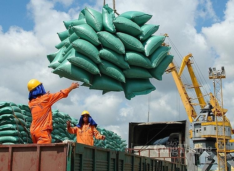 Cục Xuất nhập khẩu Bộ Công Thương nhận định, hoạt động xuất khẩu gạo sẽ gặp không ít khó khăn do cảng Tân Cảng Hiệp Phước phải ngừng dịch vụ do liên quan đến Covid-19 (ảnh: Internet)