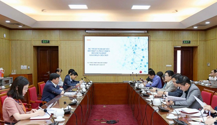 Thứ trưởng Bộ Kế hoạch và Đầu tư Trần Duy Đông chủ trì cuộc họp (ảnh: MT)